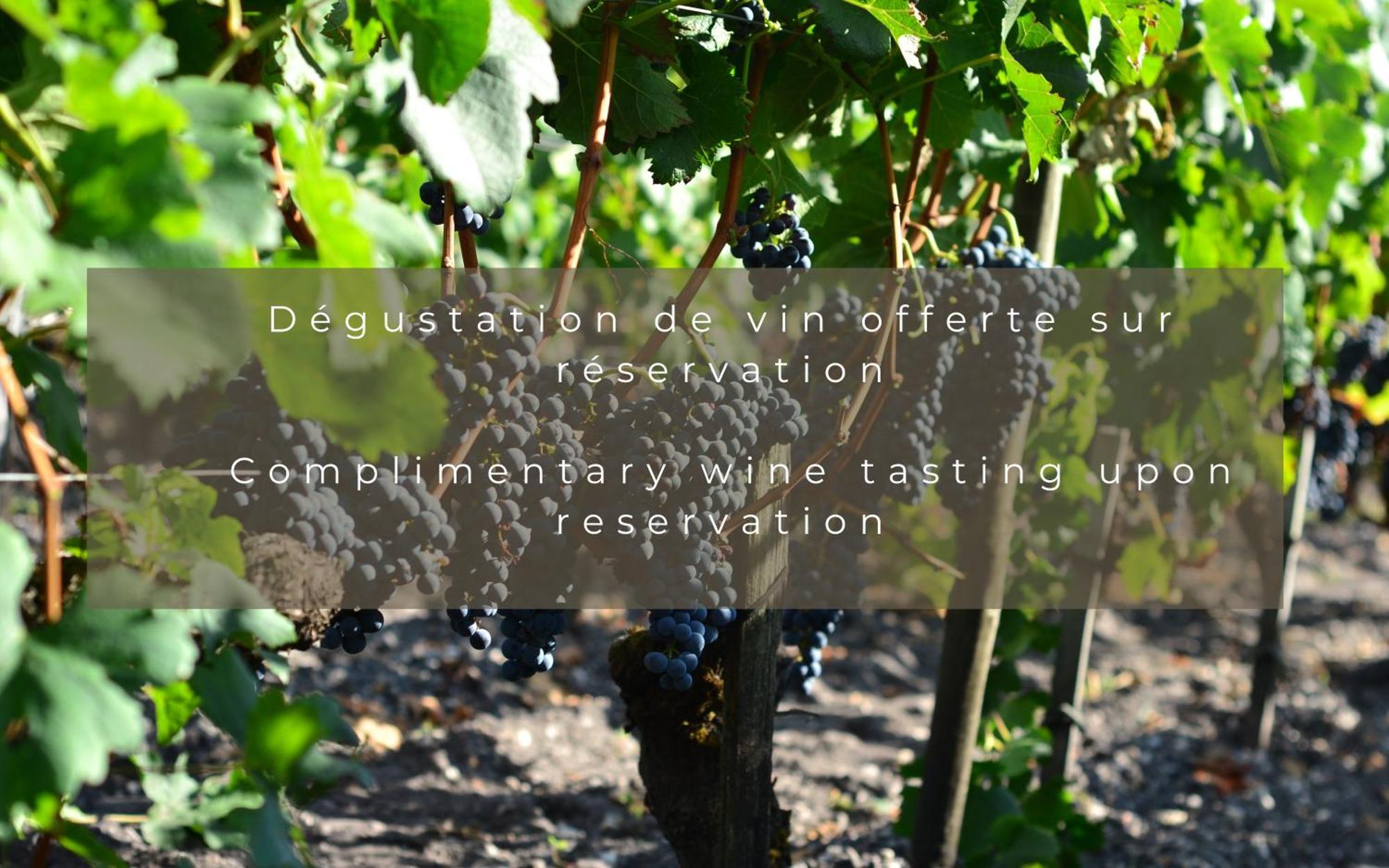 Chateau Leognan, Domaine Viticole - Proche Bordeaux Luaran gambar